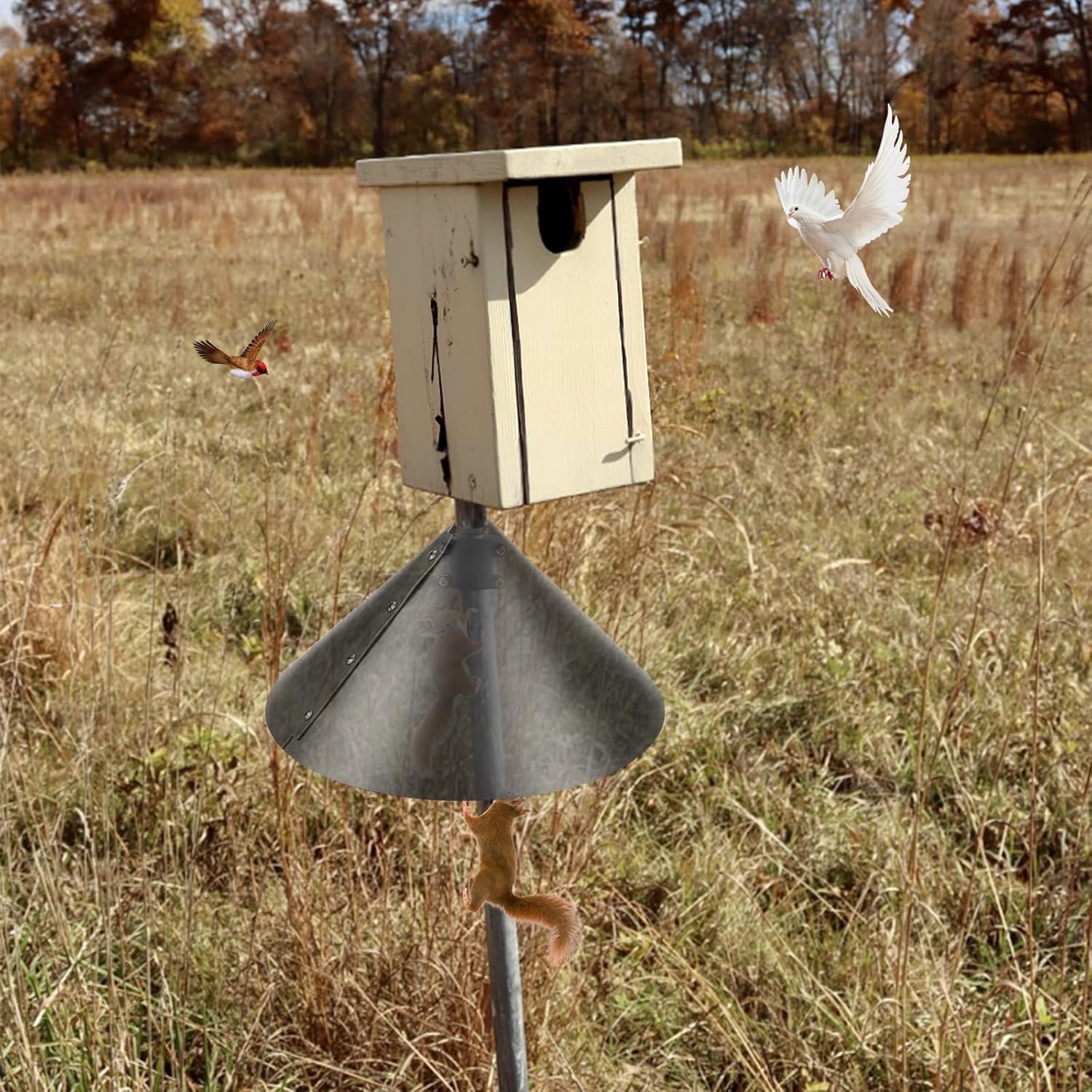 2 Pack Squirrel Baffle Accessory for Bird Feeder Pole L93759