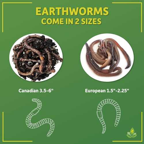 12 count Live Feed Reptile Food M181
