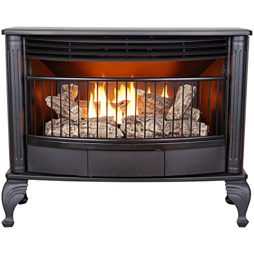 Ventless Dual Fuel Stove 25,000 BTU C8718