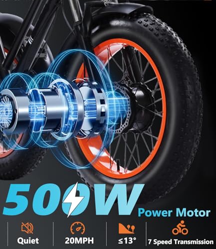 Electric Tricycle with 500W Motor, 20"x4.0" Fat Tire, 48V15Ah Battery R9679