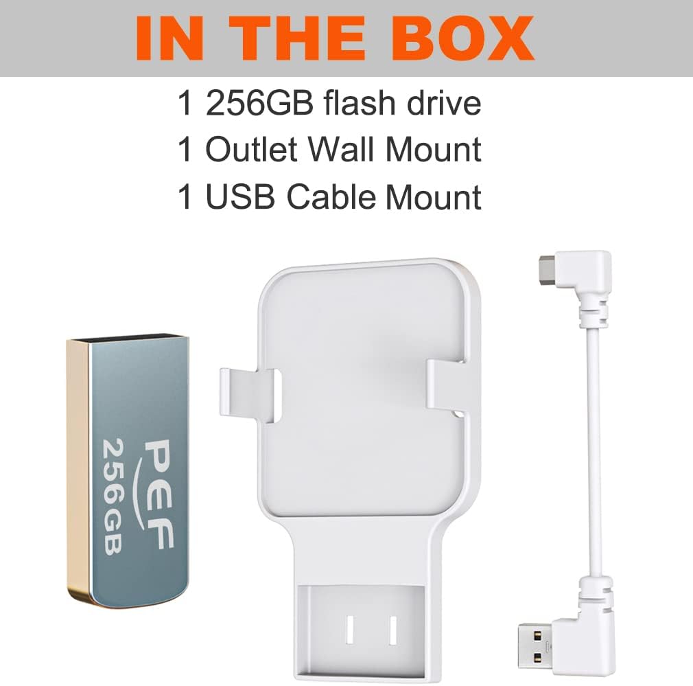 256GB USB Flash Drive for Blink Sync Module 2 W511