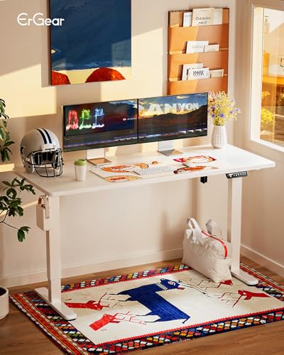 48 x 24 Inches Height Adjustable Electric Standing Desk with Memory S40332