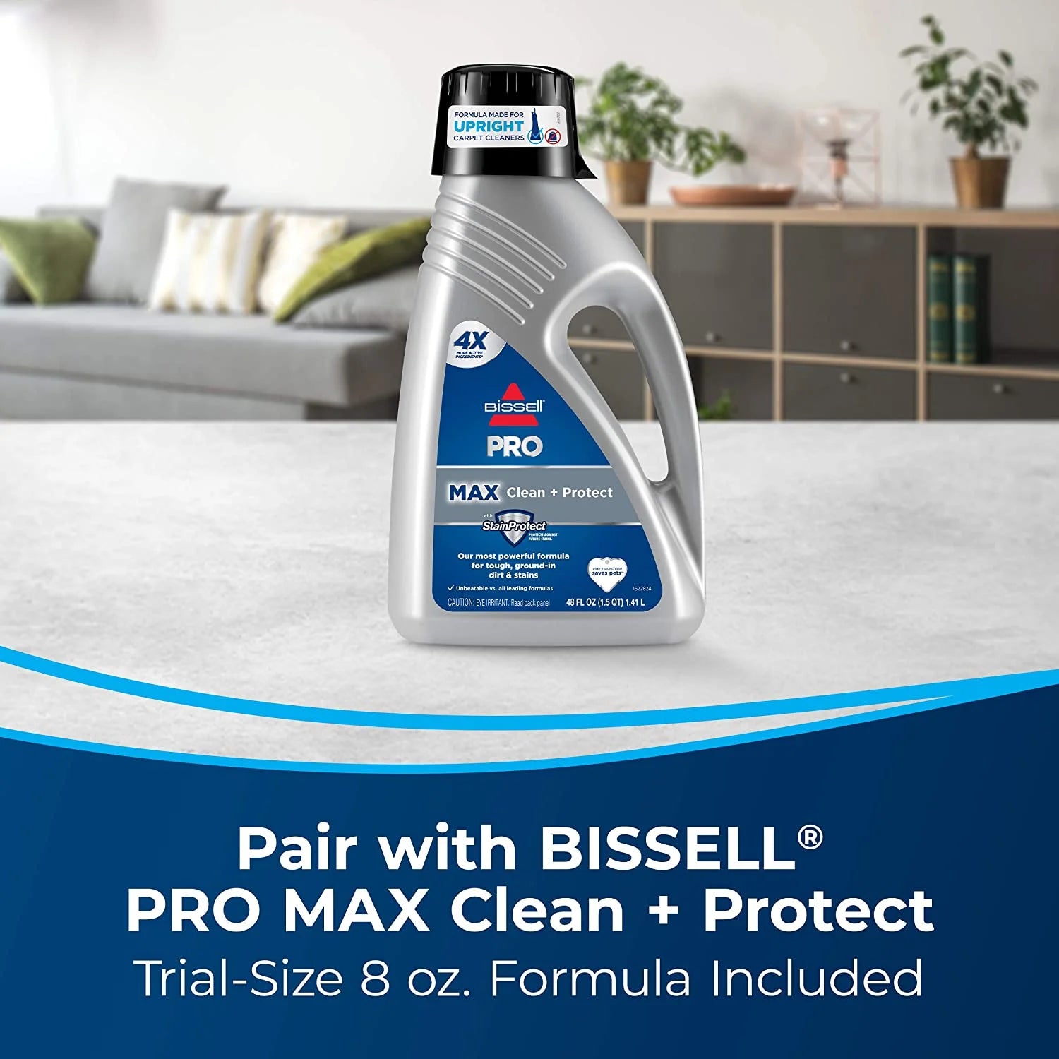 Black Portable Carpet Cleaner I2052