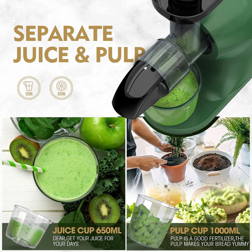 Slow Masticating Cold Press Juicer W32382
