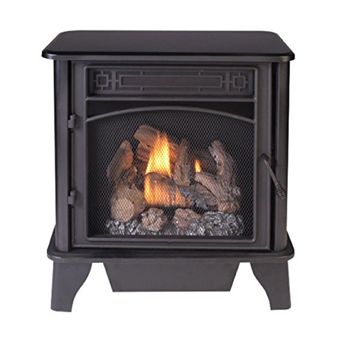 Black Dual Fuel Gas Stove with Remote Control A22715
