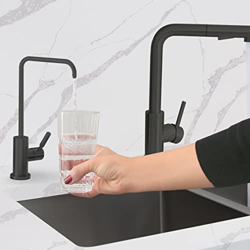 Matte Black Kitchen Sink Drinking Water Faucet T9623