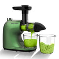 Slow Masticating Cold Press Juicer W32382