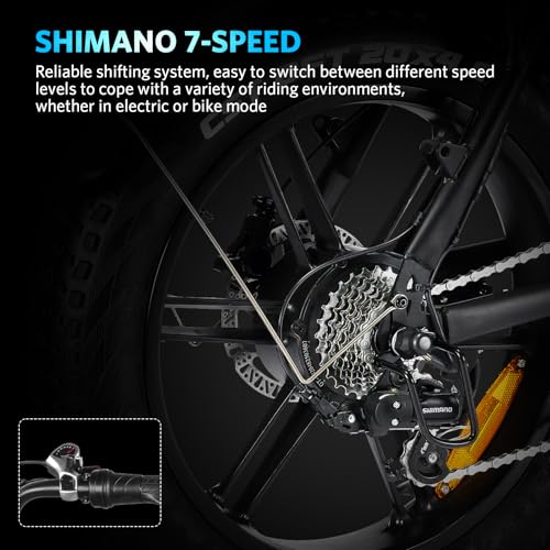 Electric Bike with 20" Fat Tire, 7-Speed Gear, Removable Battery D564991