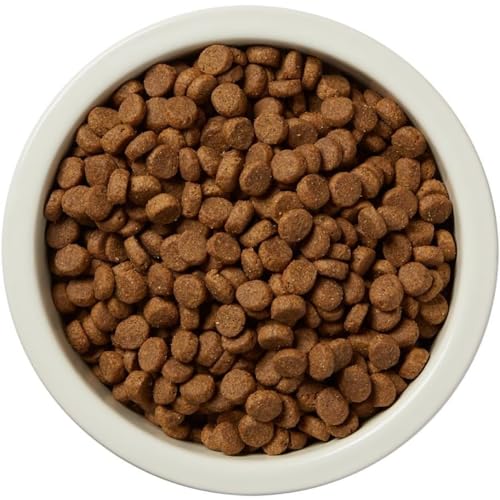 Dry Dog Food, Salmon and Brown Rice, 30 lb Bag L523