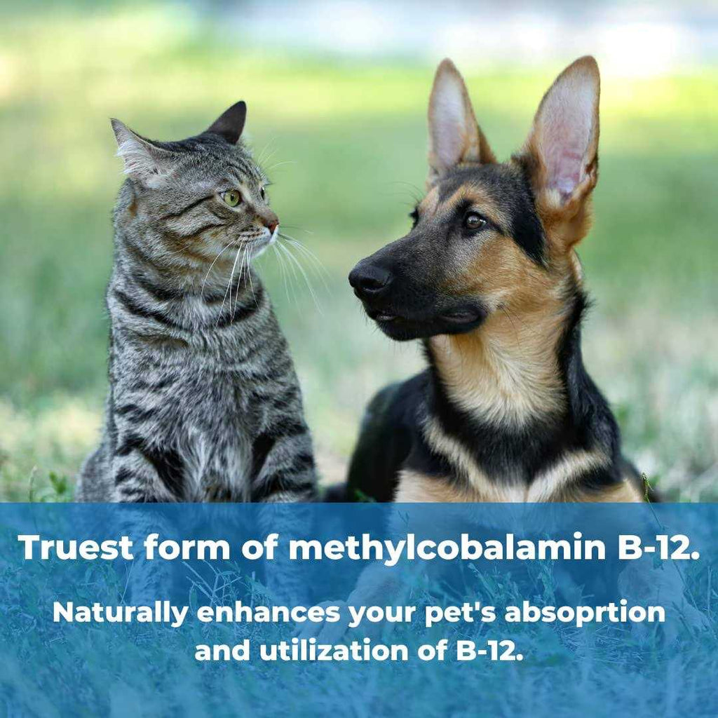 Pet Factor B-12 B-12 F315222