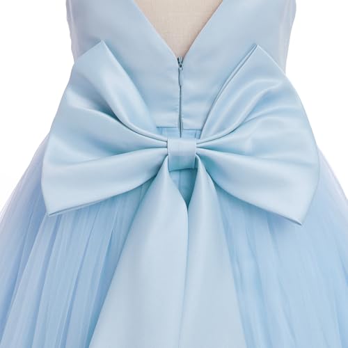 Embroidery Flower Girl Lace Dress Long Gown Tulle Dresses R6654