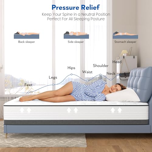 10 Inch Full Mattress Hybrid with Memory Foam and Pocketed Coils B800