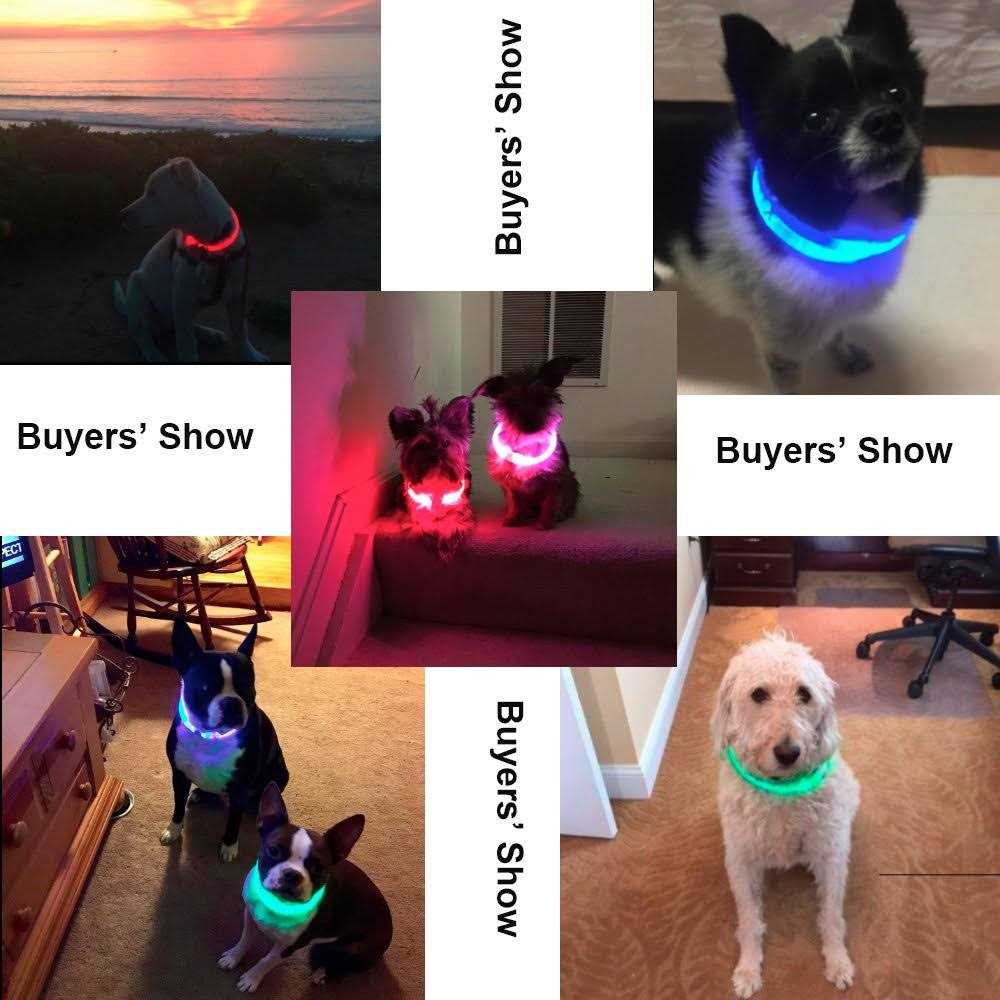 Rechargeable LED Dog Collar K889908