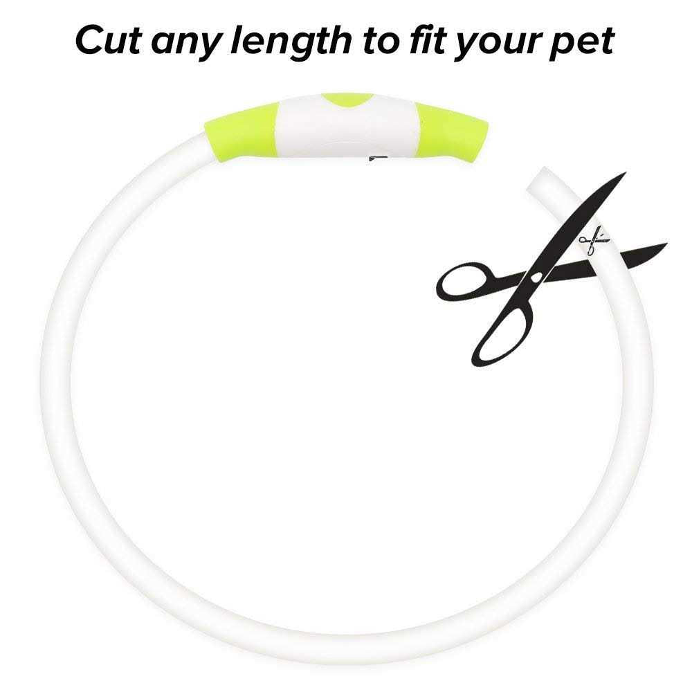 Rechargeable LED Dog Collar K889908