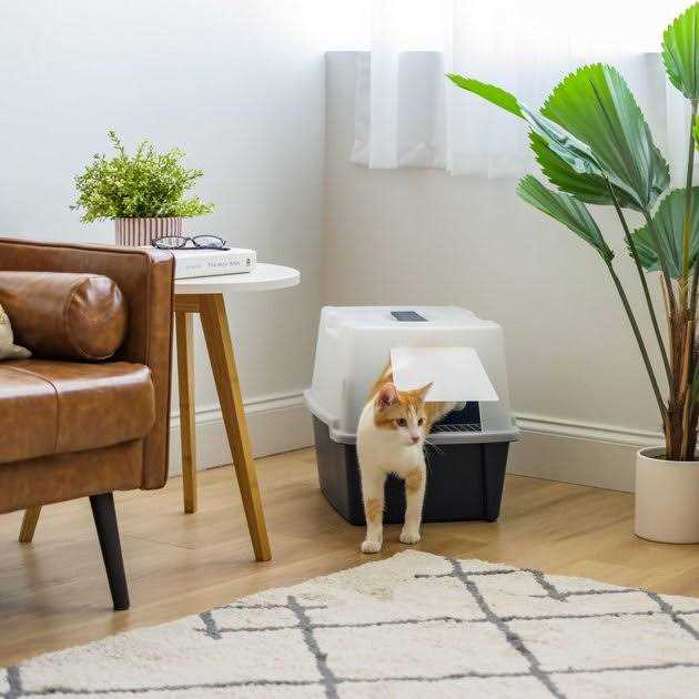 Large Hooded Litter Box W97066