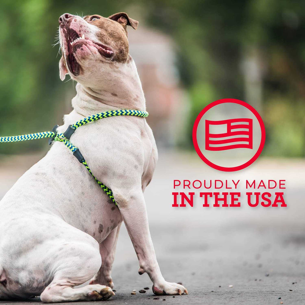 Harness Lead Dog Harness W12987