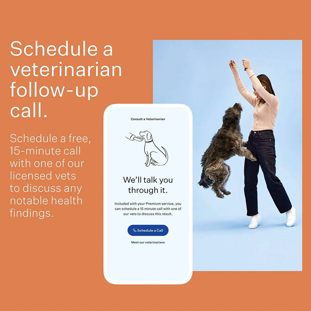 Dog Breed Identification DNA Test Kit Q431