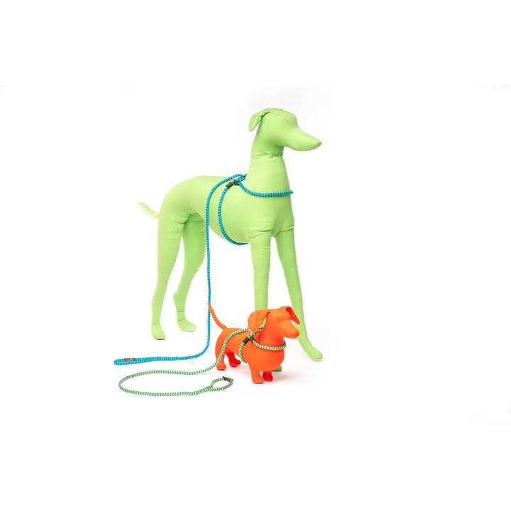 Harness Lead Dog Harness W12987