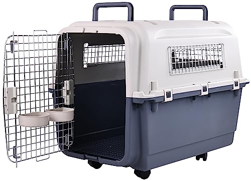 Plastic Airline Approved Travel Dog Crate, Medium E385181