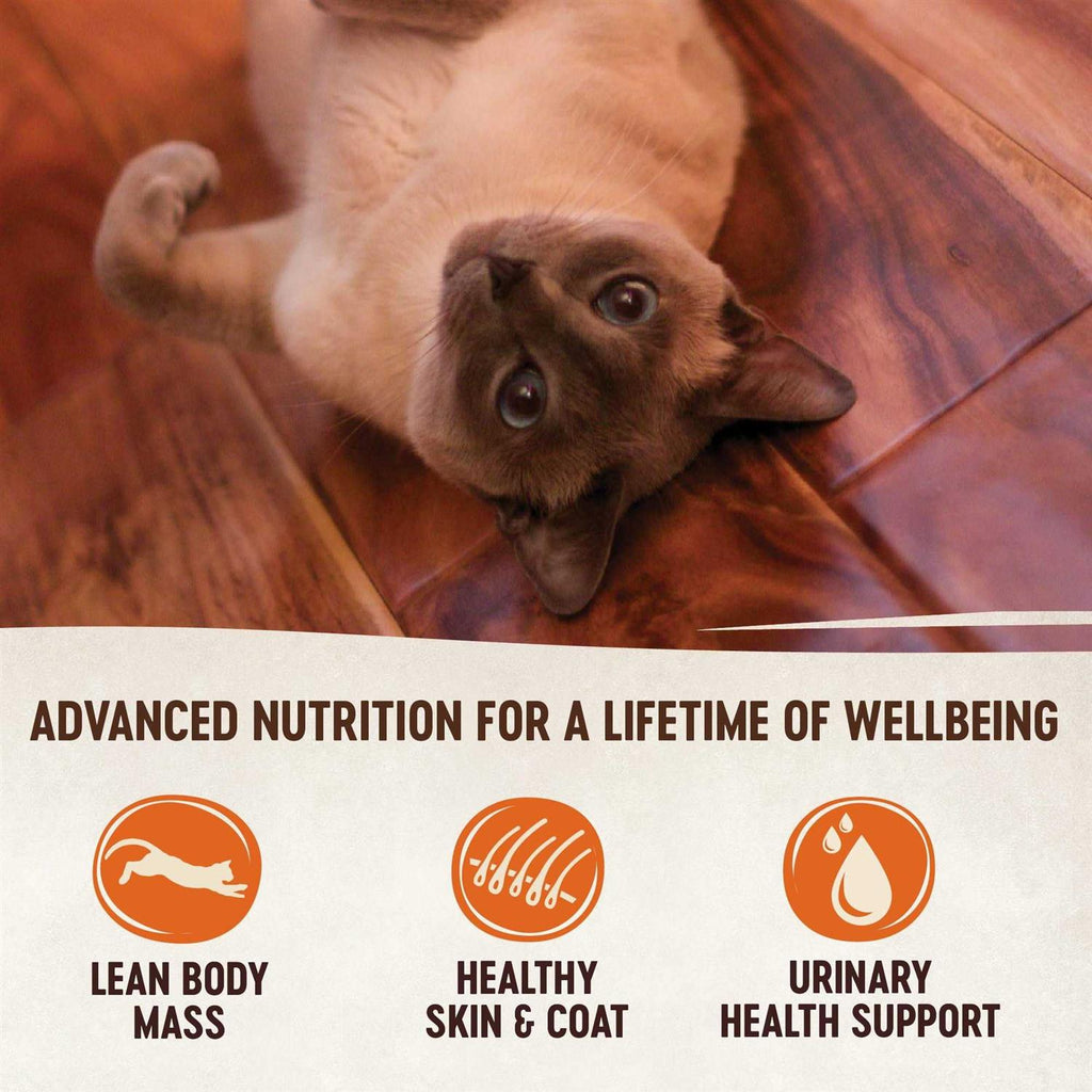 Natural Grain Free Indoor Chicken & Chicken Liver Smooth Pate Wet Canned Cat Food K684052