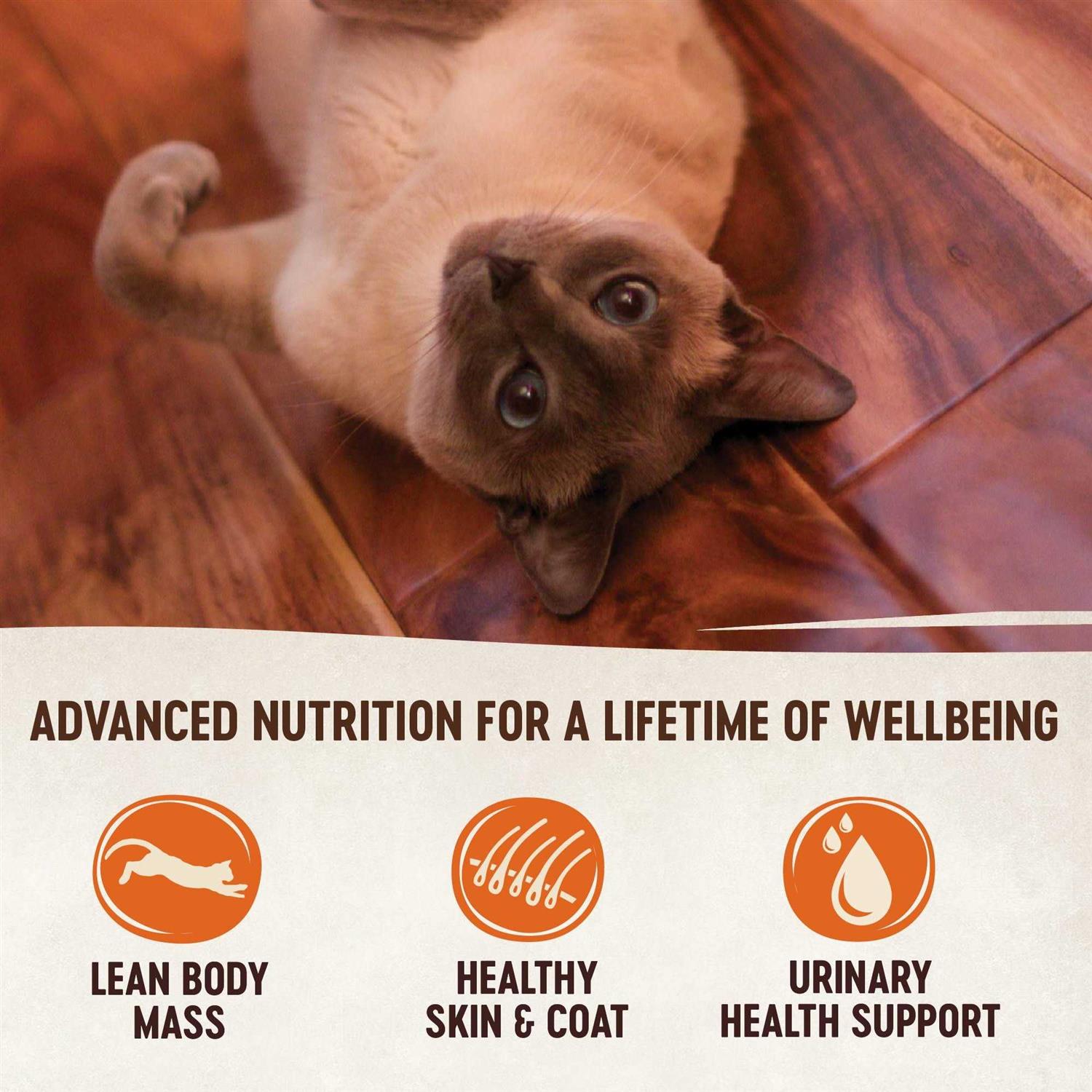 Natural Grain Free Indoor Chicken & Chicken Liver Smooth Pate Wet Canned Cat Food K684052