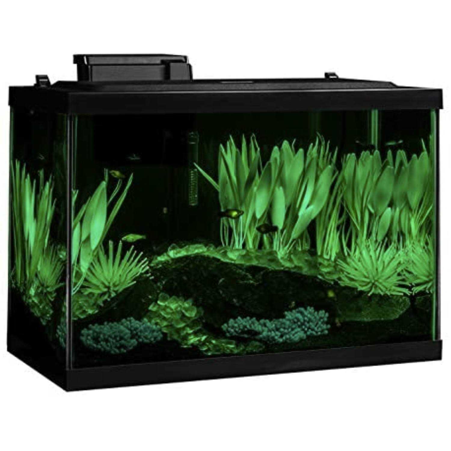 20 Gallon Fish Tank Kit with LED I514
