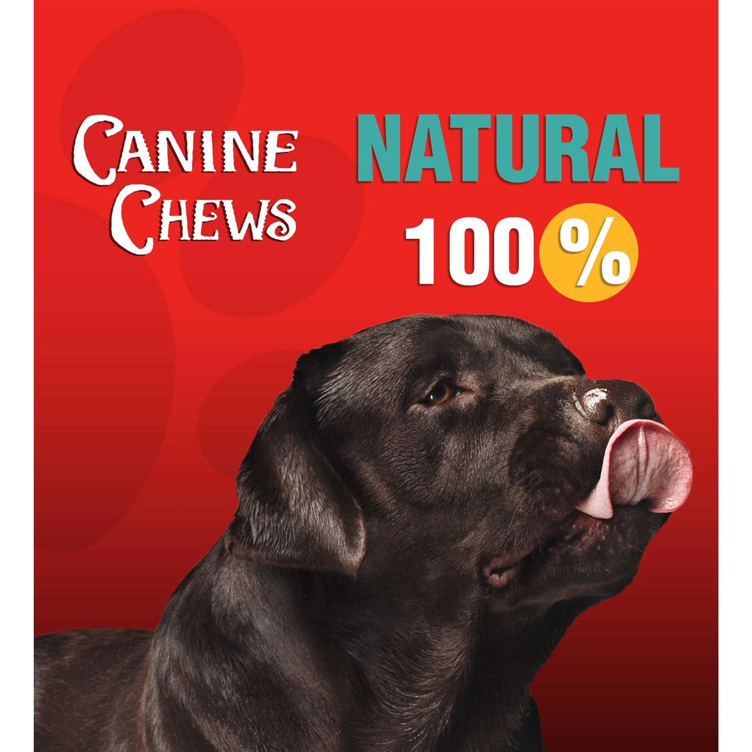 10-11 Dog Rawhide Retriever Rolls Z820286