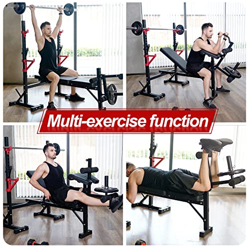 Weight Bench with Squat Rack, Adjustable Bench, Foldable Bench & Barbell Rack Stand, 660Lbs M396410