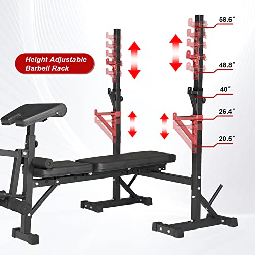Weight Bench with Squat Rack, Adjustable Bench, Foldable Bench & Barbell Rack Stand, 660Lbs M396410