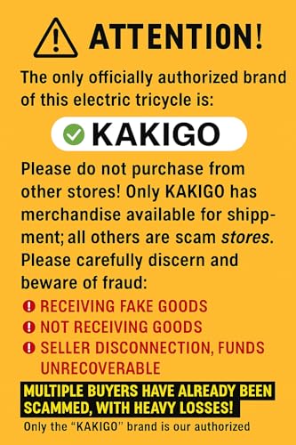 Electric Tricycle with 500W Motor, 20"x4.0" Fat Tire, 48V15Ah Battery R9679