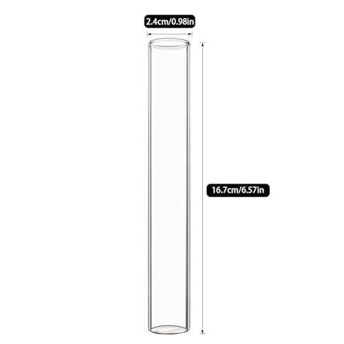 4 Tube Clear Glass Propagation Stations X2351