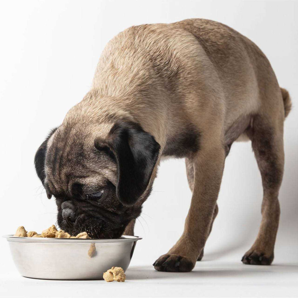 Freeze-Dried Dog Food Q649