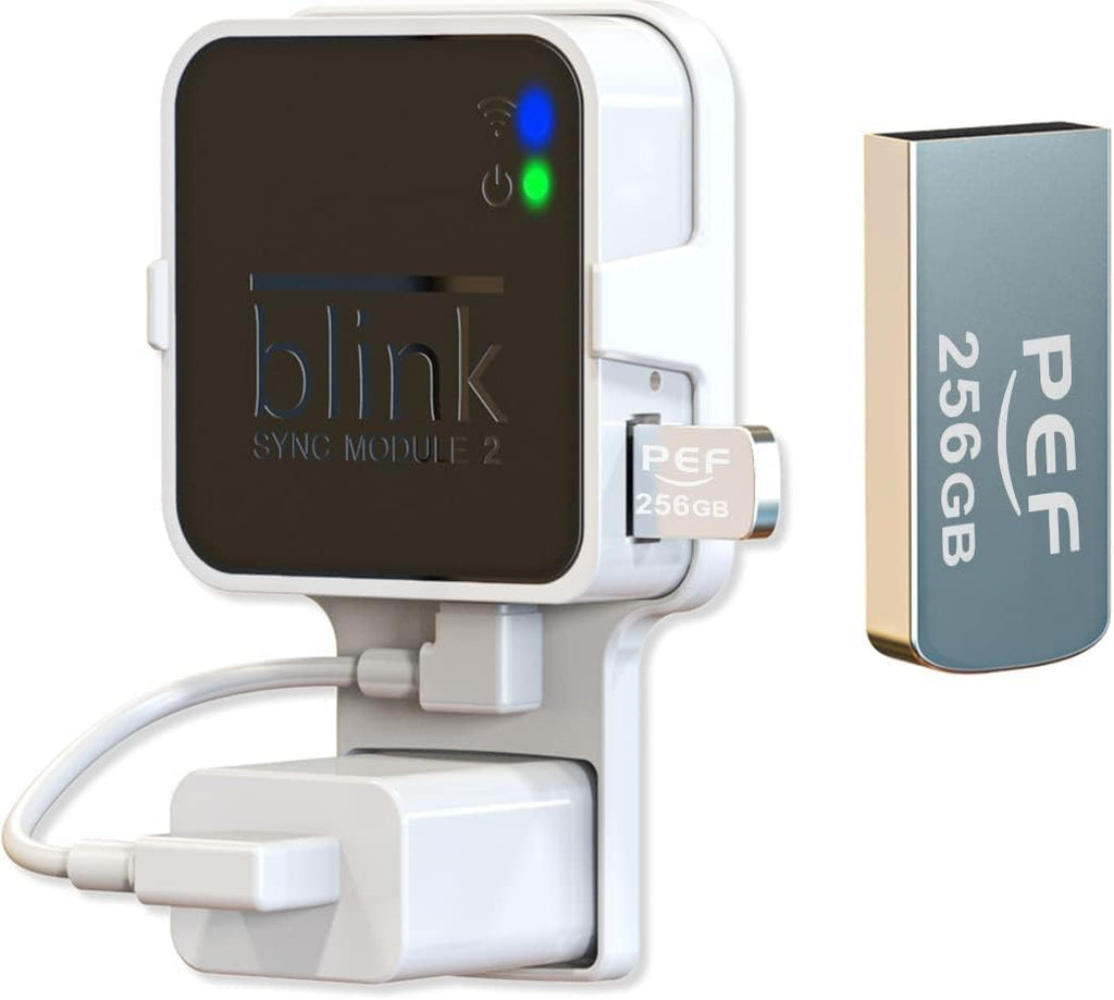 256GB USB Flash Drive for Blink Sync Module 2 W511