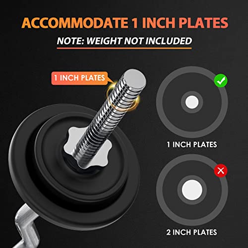 47" EZ Curl Bar Weight Lifting Bar with 2 Star Collars P226