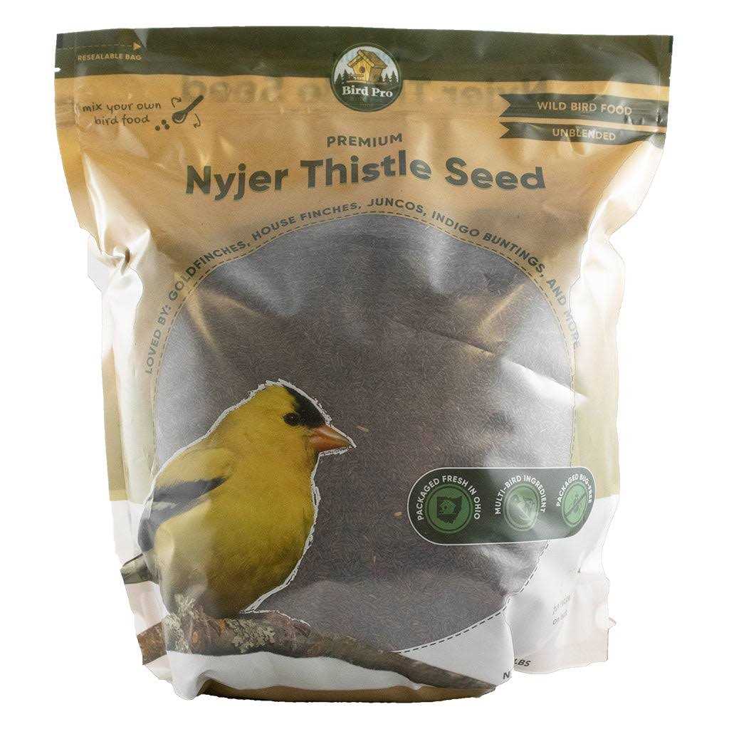 Nyjer Thistle Seed Q847955