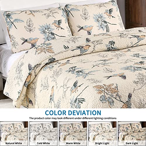 3 Piece Queen Cotton Quilt Set with Pillowcases O370933