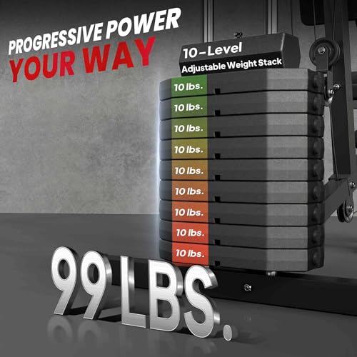 99Lbs Weight Stack Home Gym System Z67161