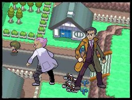 Pokemon Platinum Version D425