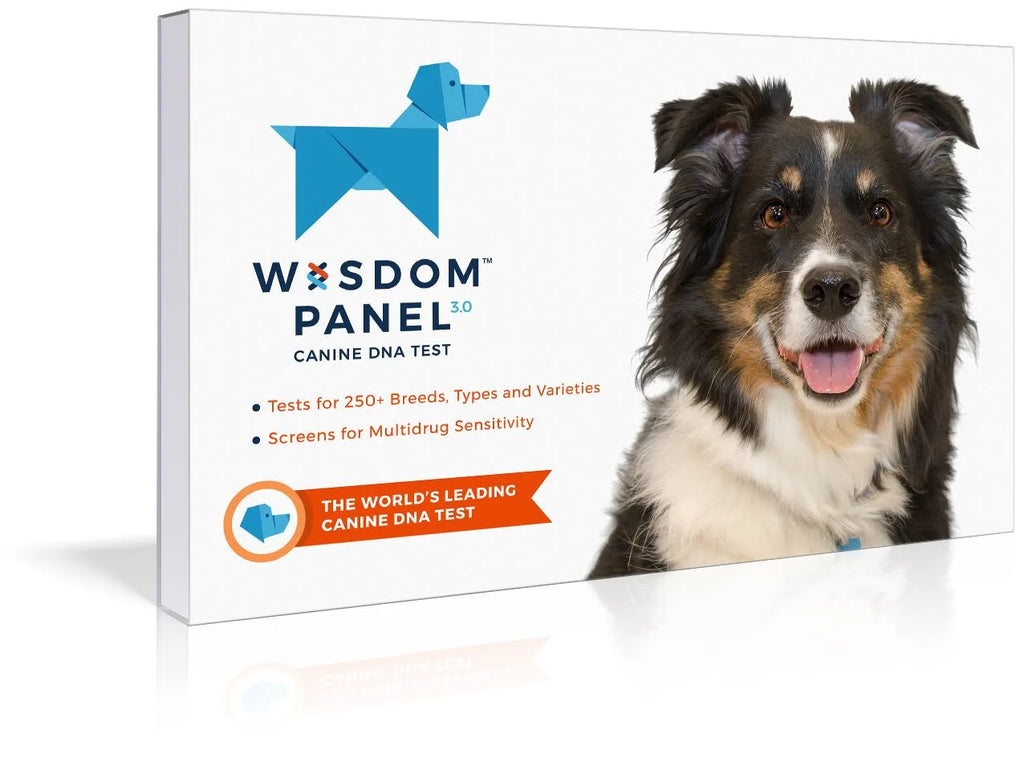 Dog Breed Identification DNA Test Kit Q431