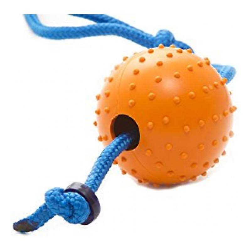 Snitch Pet Squeaker Toy L861