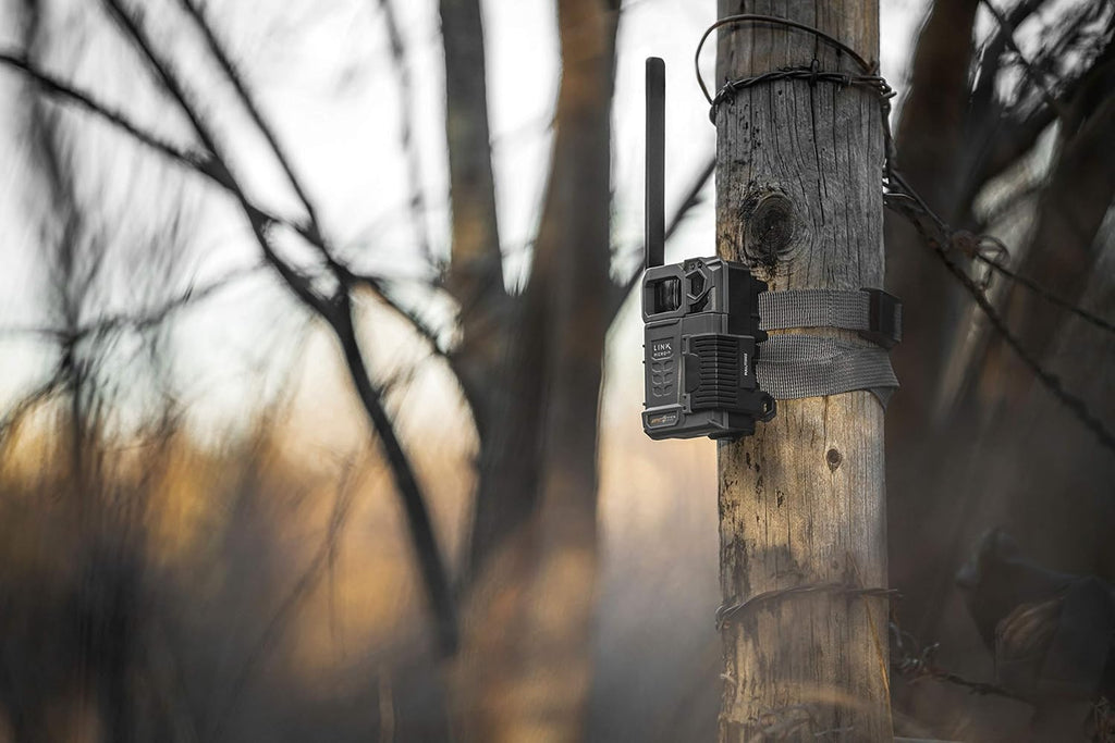 Cellular Trail Camera Twin Pack with Two SD Cards and Two Steel Cases W2357