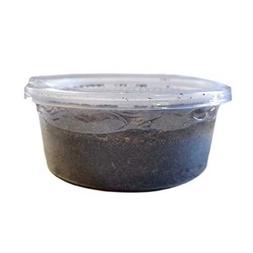 12 count Live Feed Reptile Food M181