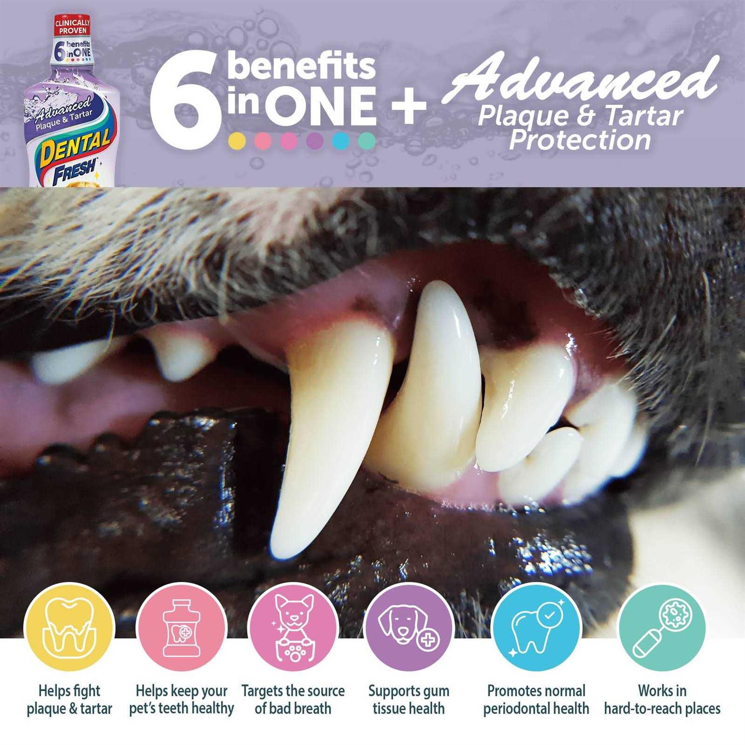 Dental Fresh Advanced Plaque and Tartar Water Additive for Dogs B9768
