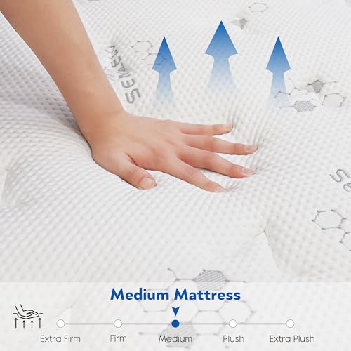 10 Inch Full Mattress Hybrid with Memory Foam and Pocketed Coils B800