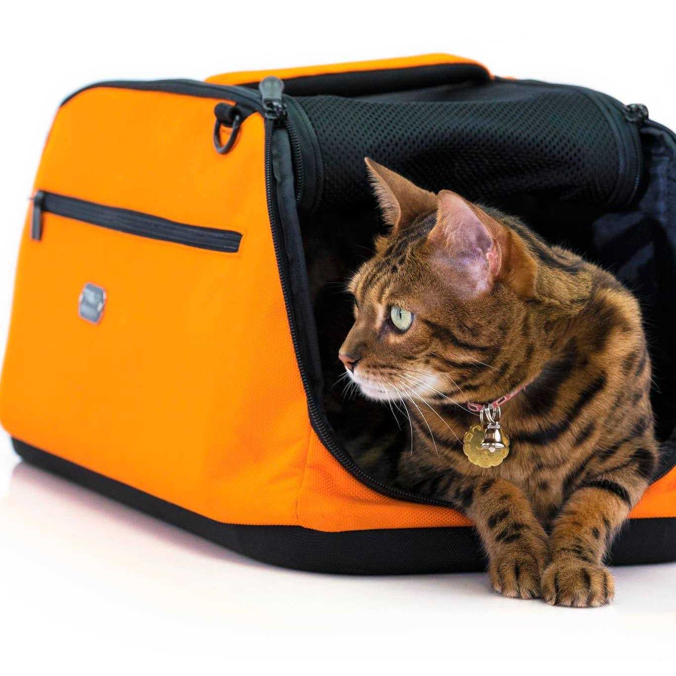 Pet Carrier O6404