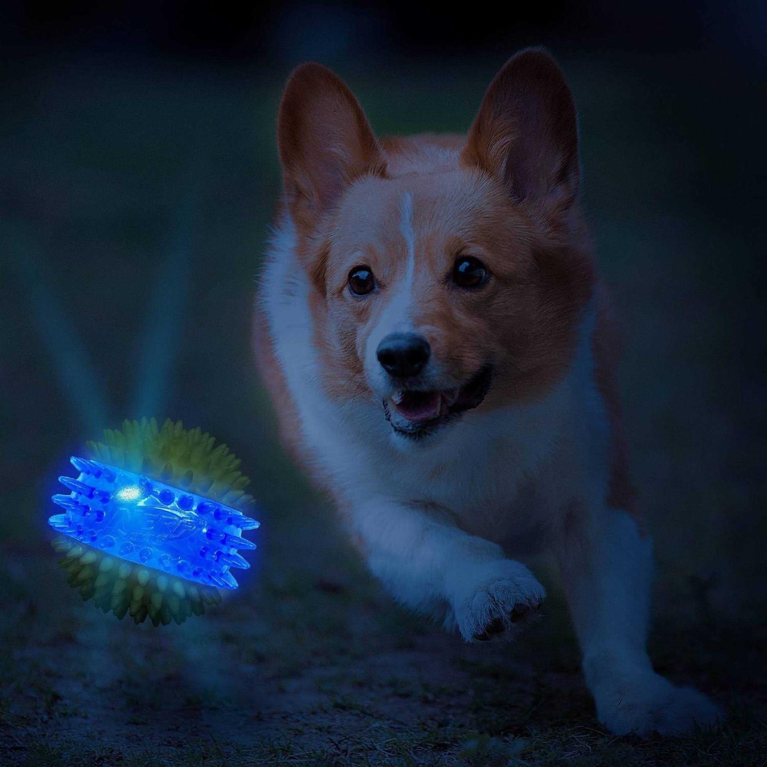 Translucent TPR 3-Part Spike LED & Squeak Ball Dog Toy Q560
