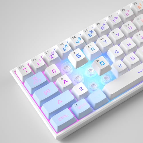 Mini 60% RGB Backlit 61 Key Ultra-Compact Mechanical Feeling Keyboard (Black) A73668