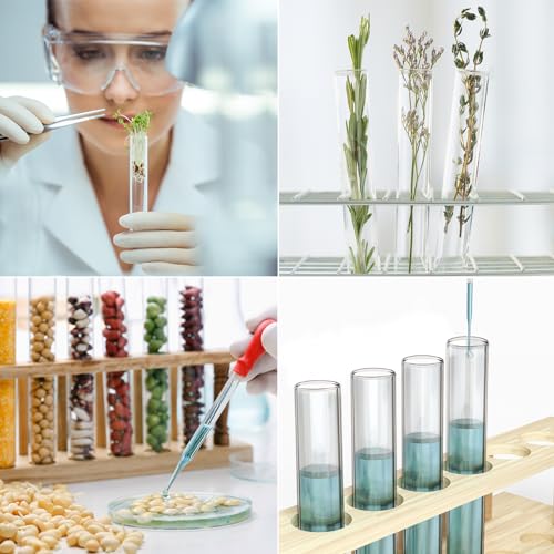 4 Tube Clear Glass Propagation Stations X2351