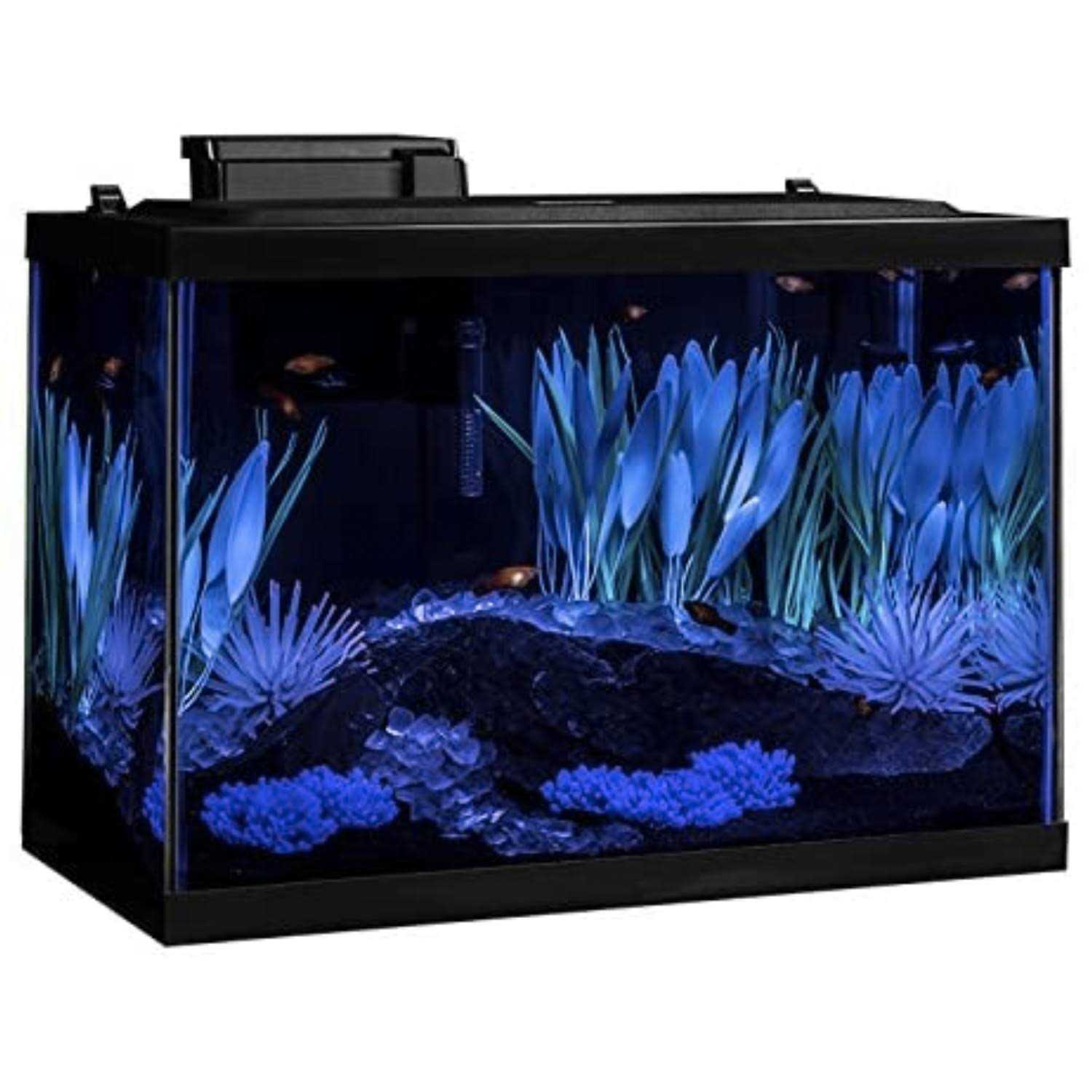20 Gallon Fish Tank Kit with LED I514