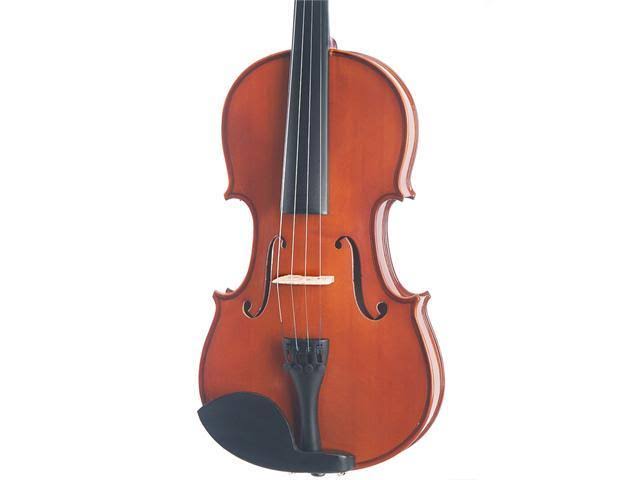 14-inch Solid Wood Viola with Case, Bow, Rosin, Bridge and Strings R1050